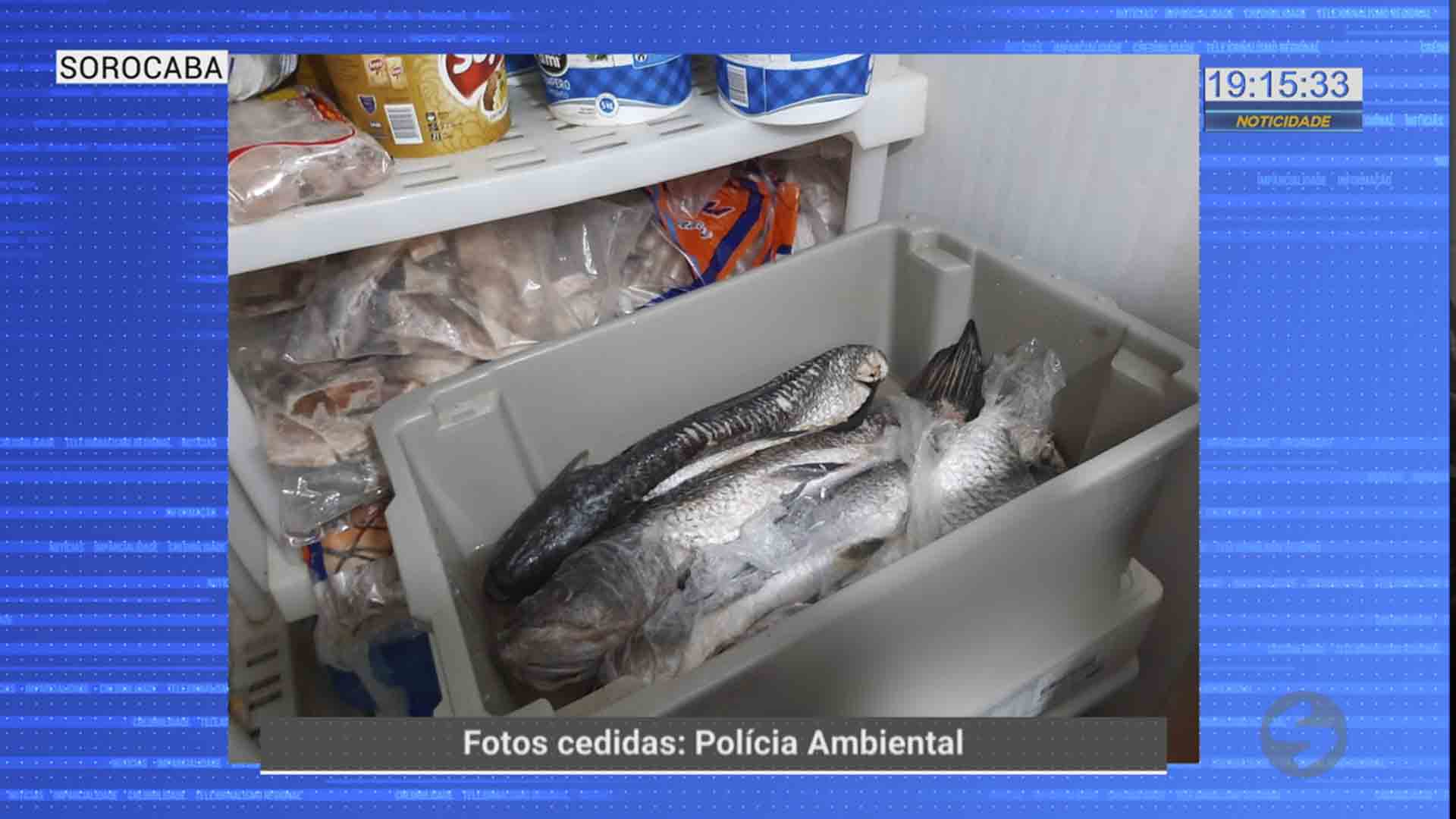 peixes congelados apreendidos