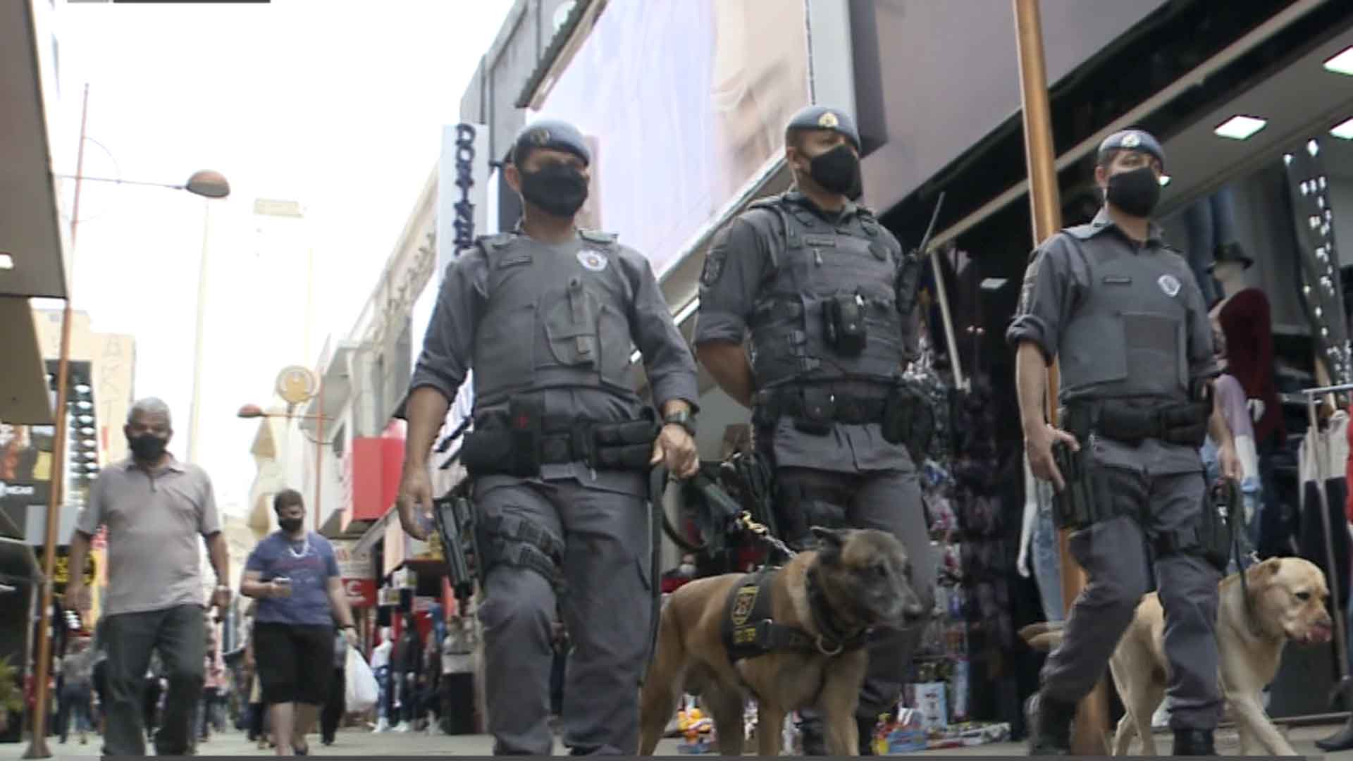 policial e cachorros