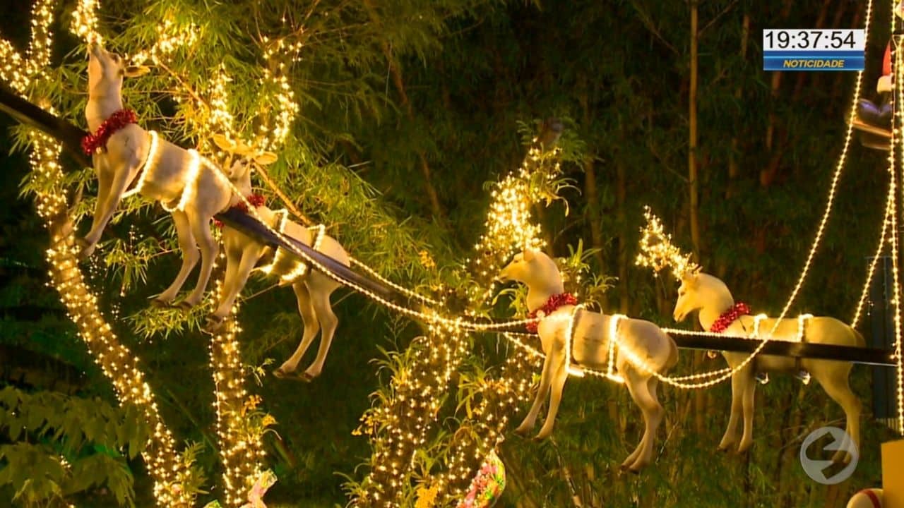 rena natal