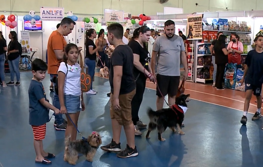 feira pet