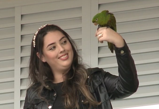 maritaca cerquilho