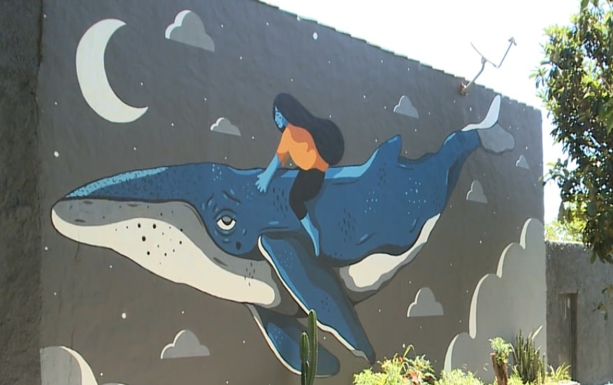 murais art&iacute;sticos