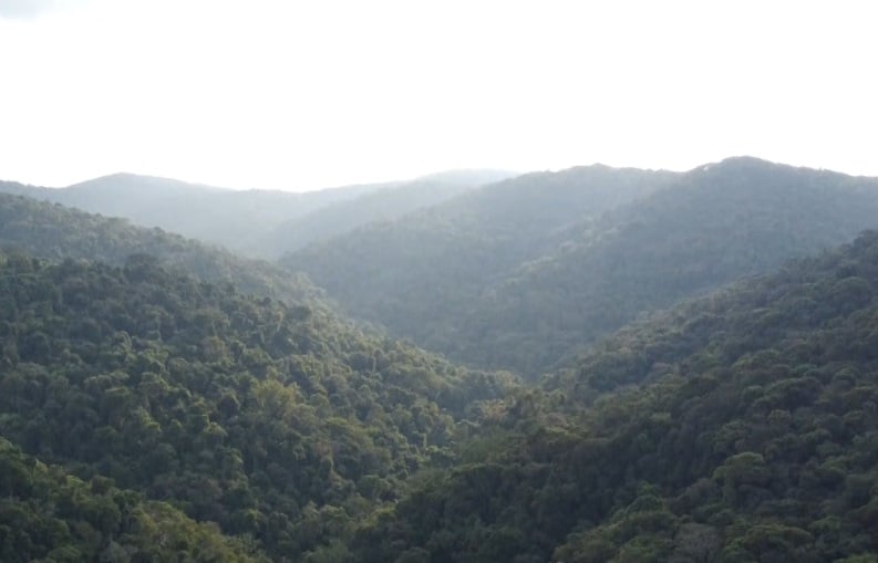 Serra do Japi completa 40 anos de tombamento
