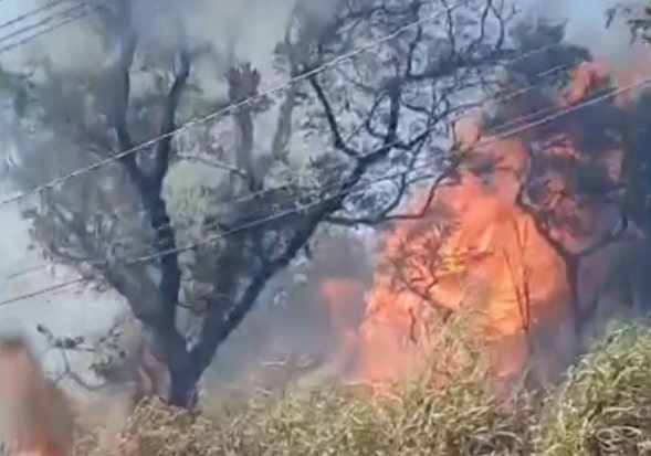 inc&ecirc;ndios regi&atilde;o