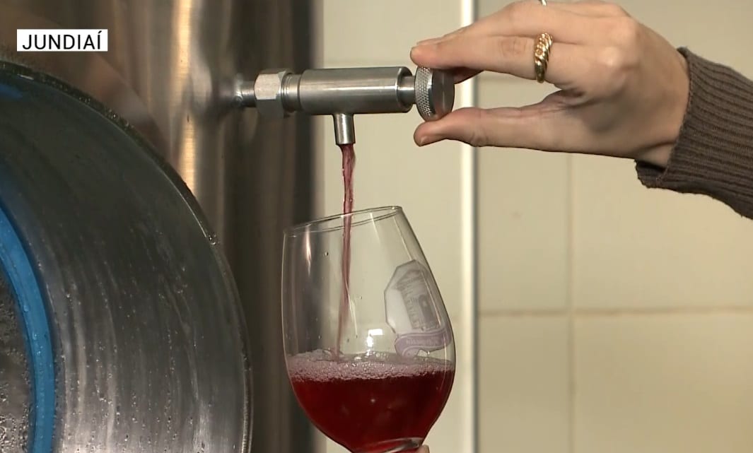 produ&ccedil;&atilde;o vinho