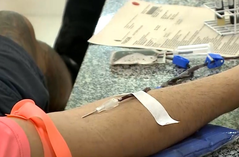 doa&ccedil;&otilde;es sangue