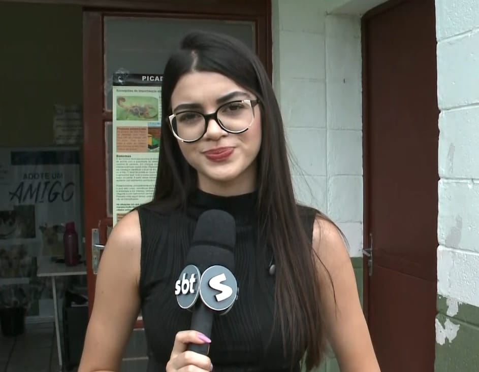 crian&ccedil;a escorpi&atilde;o