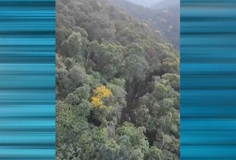 Cenipa conclui investigação e aponta que piloto perdeu referências visuais antes de colisão na Serra do Japi
