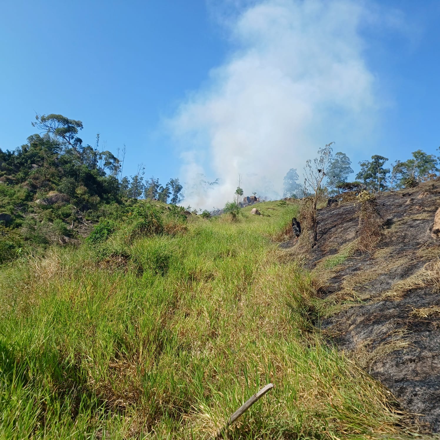 Inc&ecirc;ndio na Serra da Baleia em Jundia&iacute; &eacute; controlado, mas sol forte exige aten&ccedil;&atilde;o