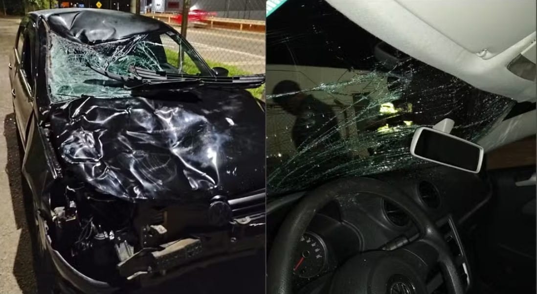 Boi atropelado em Itapeva: Animal morre e carro fica destru&iacute;do