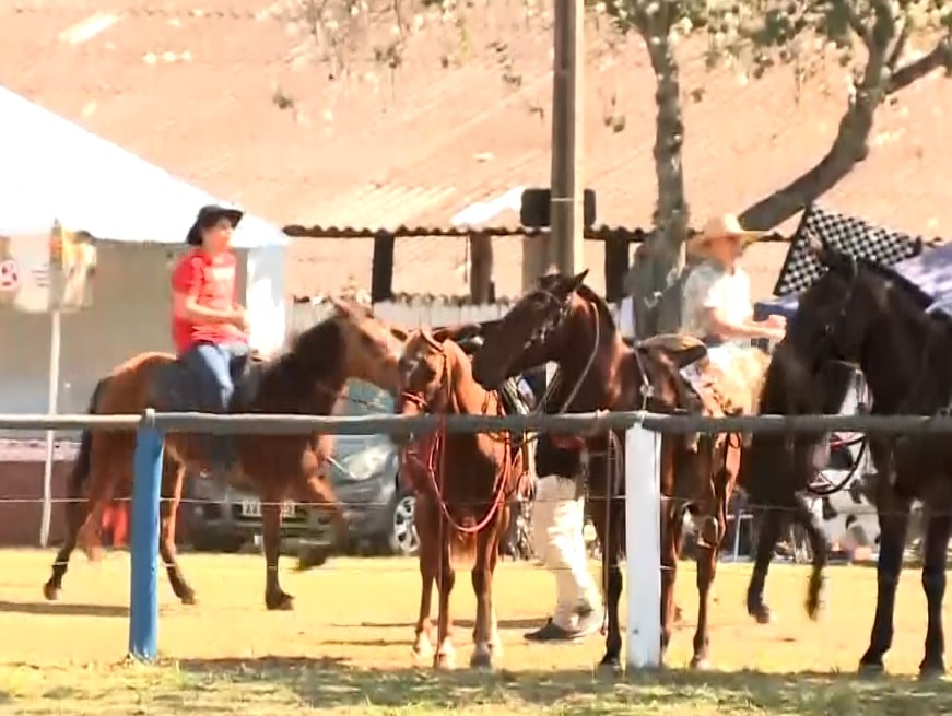 Cavalos expostos na Festa Tropeira, em Itapetininga.