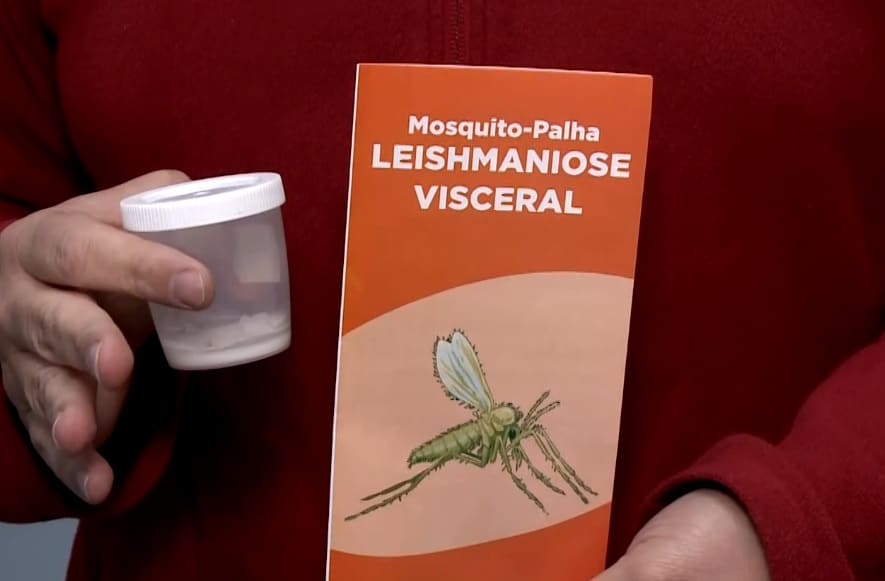 Folheto da campanha contra a Leishmaniose.