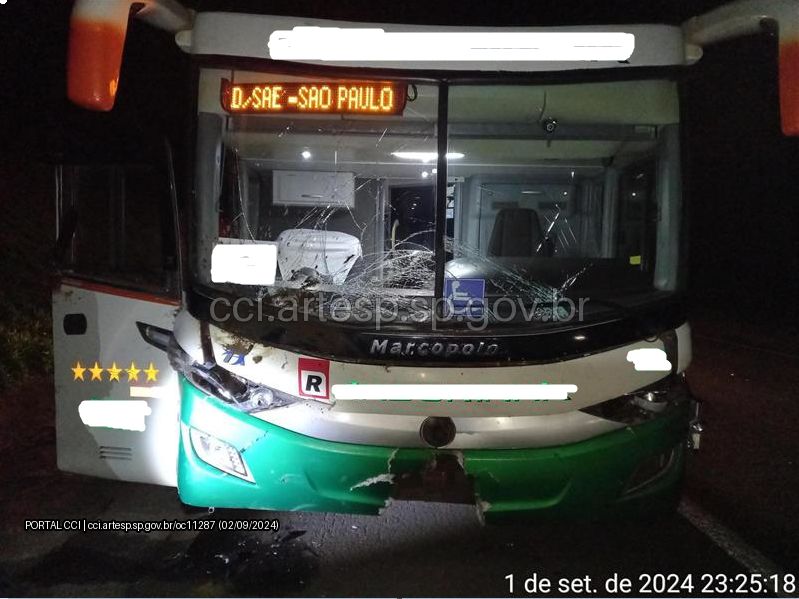 &Ocirc;nibus atropela vacas na Rodovia Castello Branco, em Ces&aacute;rio Lange; quatro animais morreram