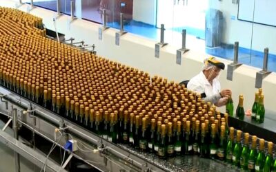 Produção de espumantes para festas de fim de ano gera empregos em Jundiaí