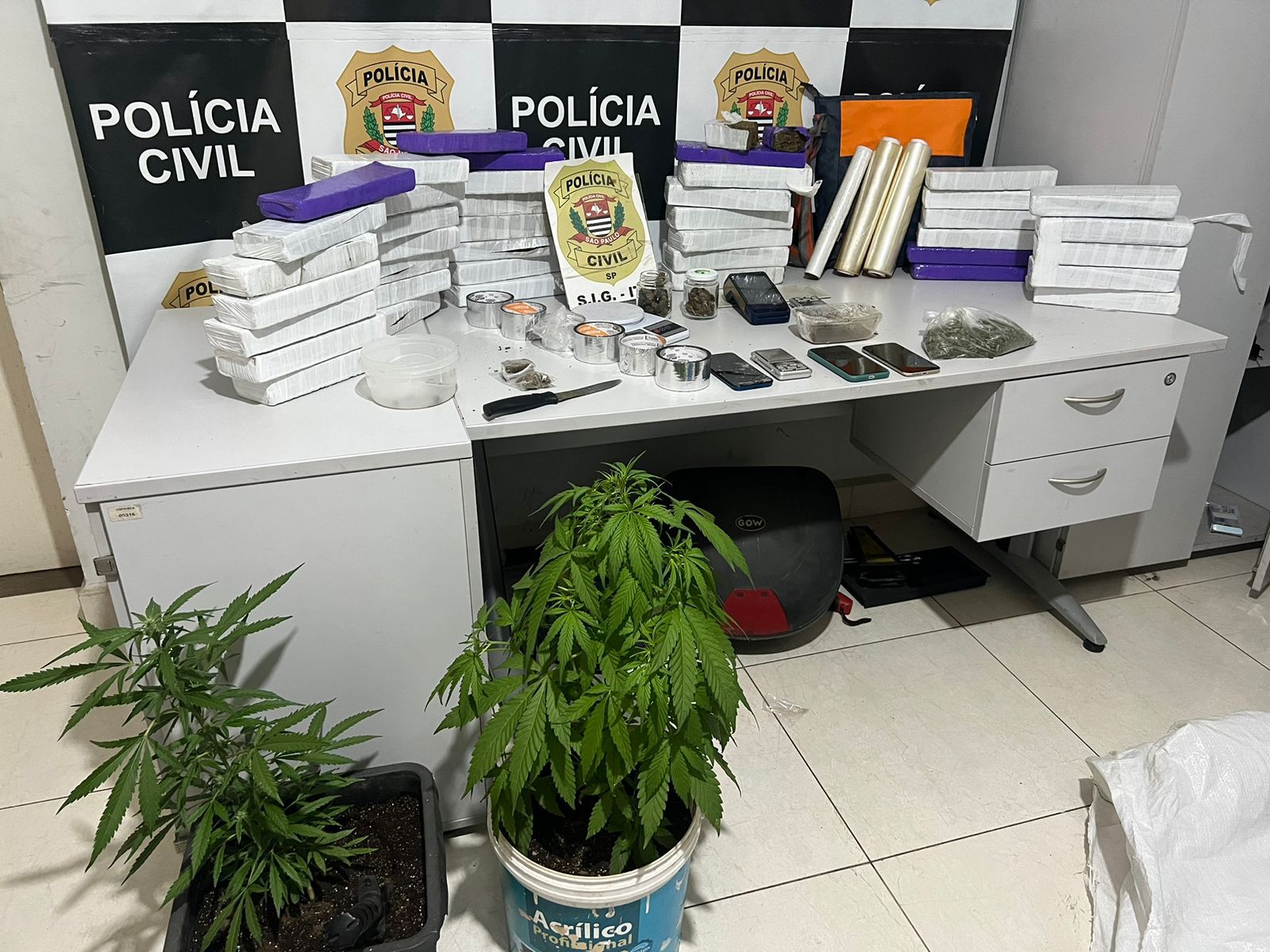 Pol&iacute;cia Civil apreende mais de 30 tijolos de maconha em Salto