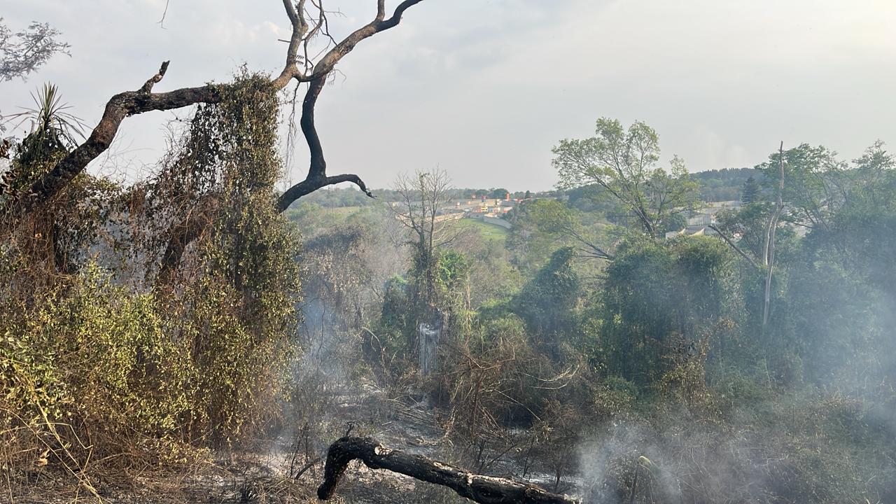 Inc&ecirc;ndio atinge &aacute;rea do Santu&aacute;rio dos Primatas em Sorocaba