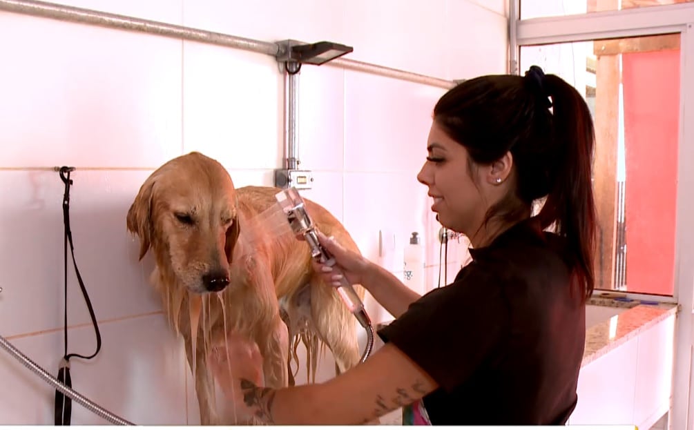 Funcion&aacute;ria de pet-shop dando banho em cachorro.