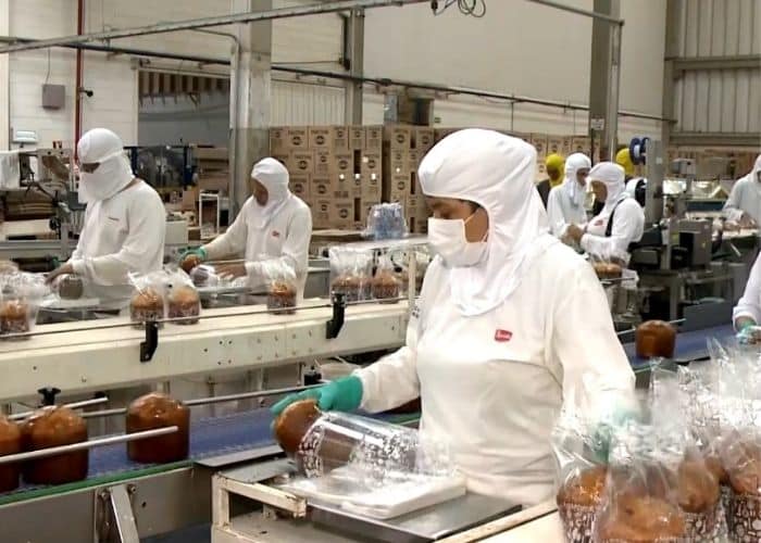 F&aacute;brica de V&aacute;rzea Paulista em produ&ccedil;&atilde;o de Panetones.