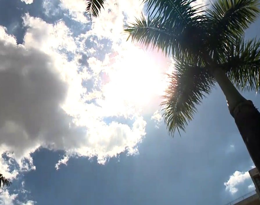 Imagem do c&eacute;u com nuvens e uma &aacute;rvore.