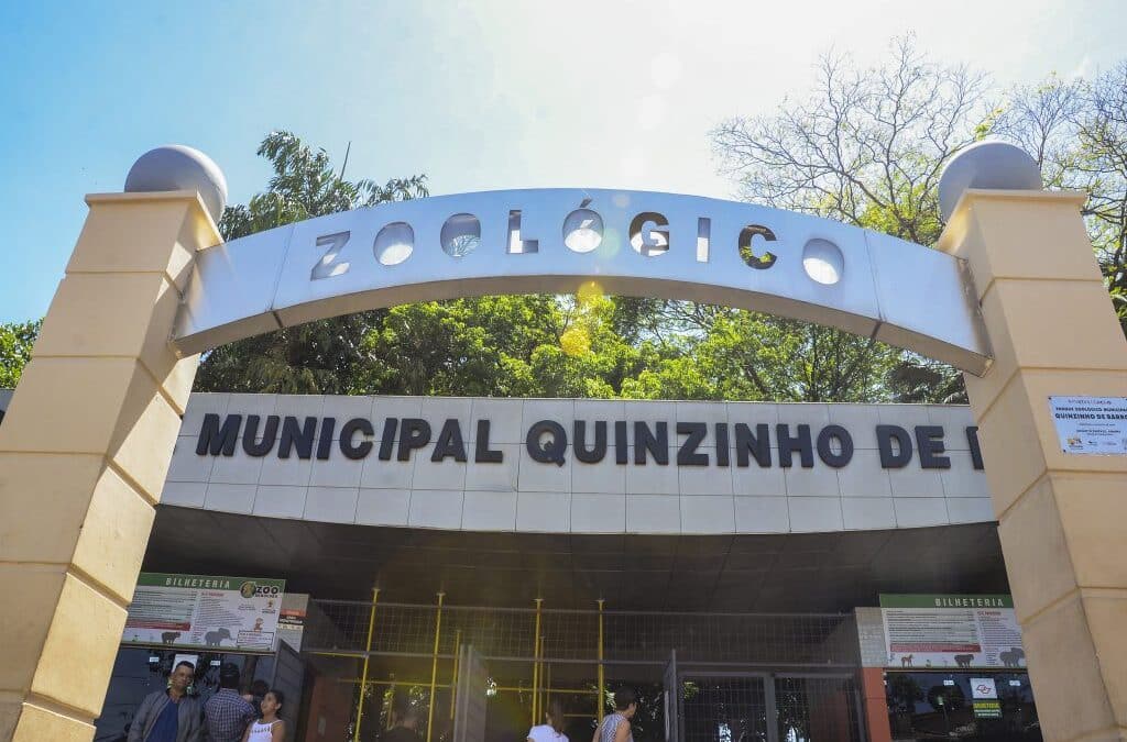 MP pede transferência de ursos do Zoológico de Sorocaba para santuário