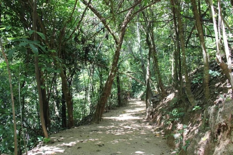 Parque do Mat&atilde;o, em Votorantim, fecha para manuten&ccedil;&atilde;o neste s&aacute;bado