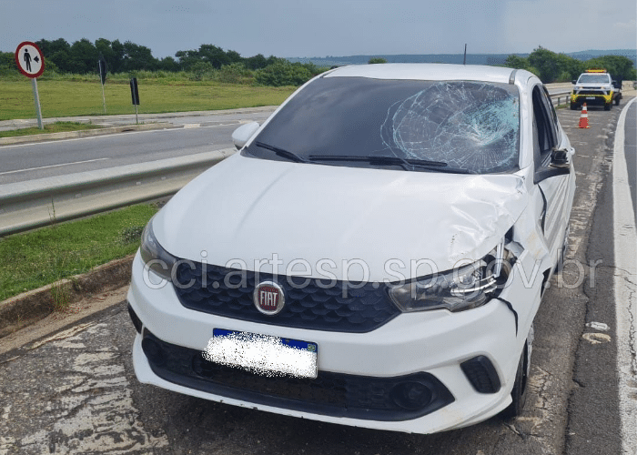 Atropelamento na Rodovia Raposo Tavares acaba com morte em Sorocaba