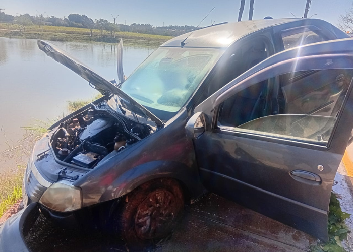 Carro cai em lago após motorista tentar desviar de cachorro