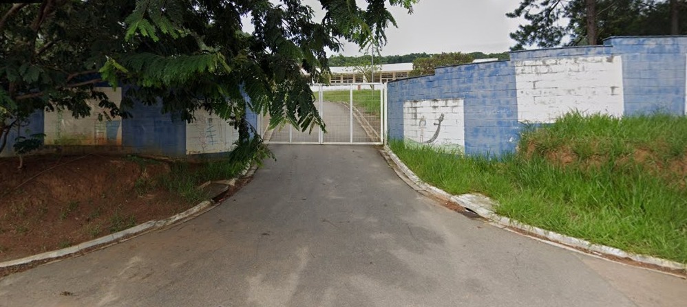 Parvovirose jundia&iacute;