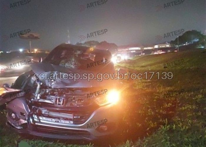 Grupo tentava atravessar a rodovia dos Bandeirantes.