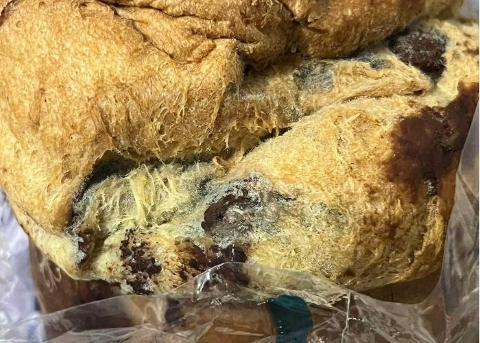 Munic&iacute;pio registrou nove ocorr&ecirc;ncias em mais de 4 mil panetones distribu&iacute;dos.