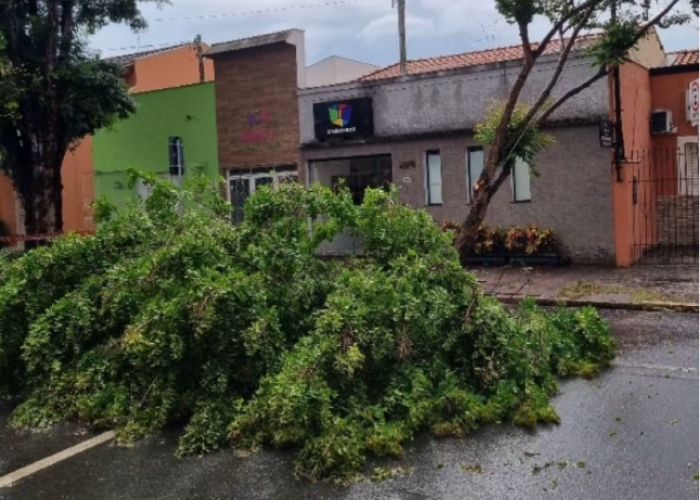 Defesa Civil emite alerta severo por chuva intensa e ventos fortes em Itapetininga