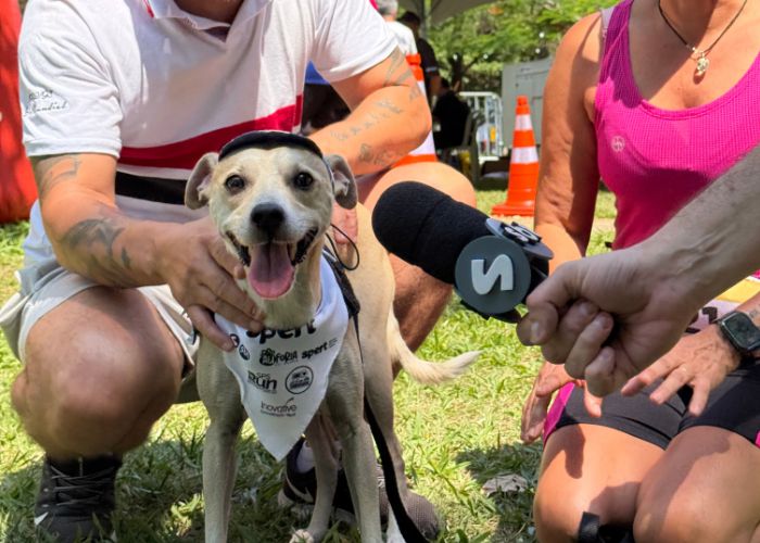 PetSpert reúne 250 cães e anima manhã na Praça da Amizade do CIC