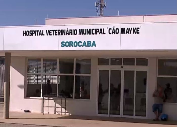 Hospital Veterin&aacute;rio Municipal de Sorocaba &eacute; autuado por irregularidades