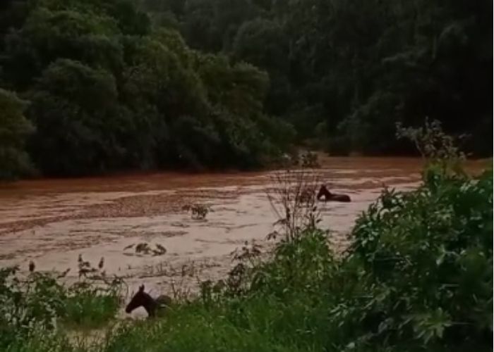 Imagem da &eacute;gua presa no c&oacute;rrego