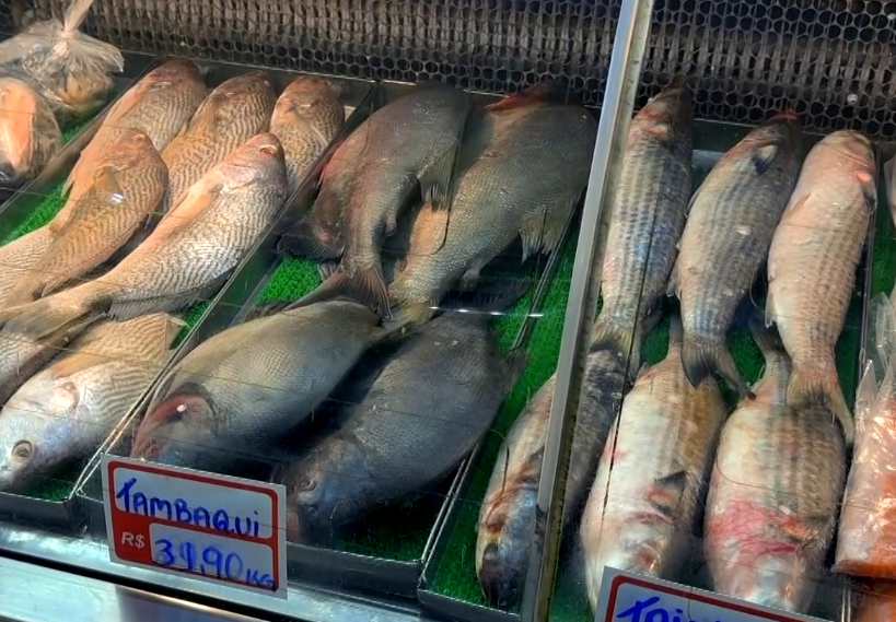 Peixes expostos em mercado.