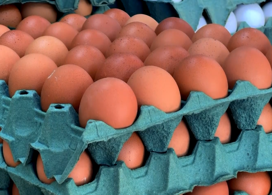 Imagem de ovos.
