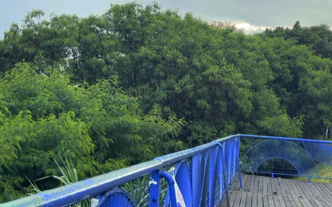 Moradores denunciam abandono e mato alto no mirante de Sorocaba