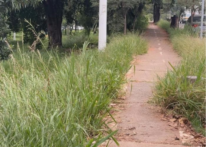 Moradores de Votorantim reclamam de pra&ccedil;a abadonada