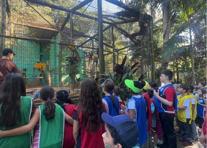 Zoo de Sorocaba transforma crianças em detetives da natureza durante as férias