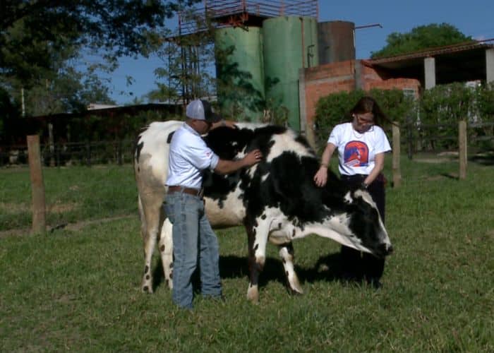 Animais resgatados ajudam na recuperação emocional de crianças e adolescentes em Itu