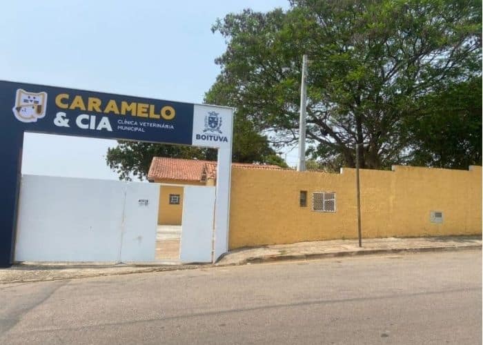 Cachorro é esfaqueado em Boituva; Polícia investiga o caso