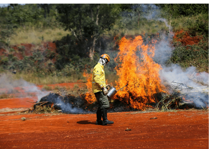 Ação humana é a principal causa de incêndios nesta época do ano
