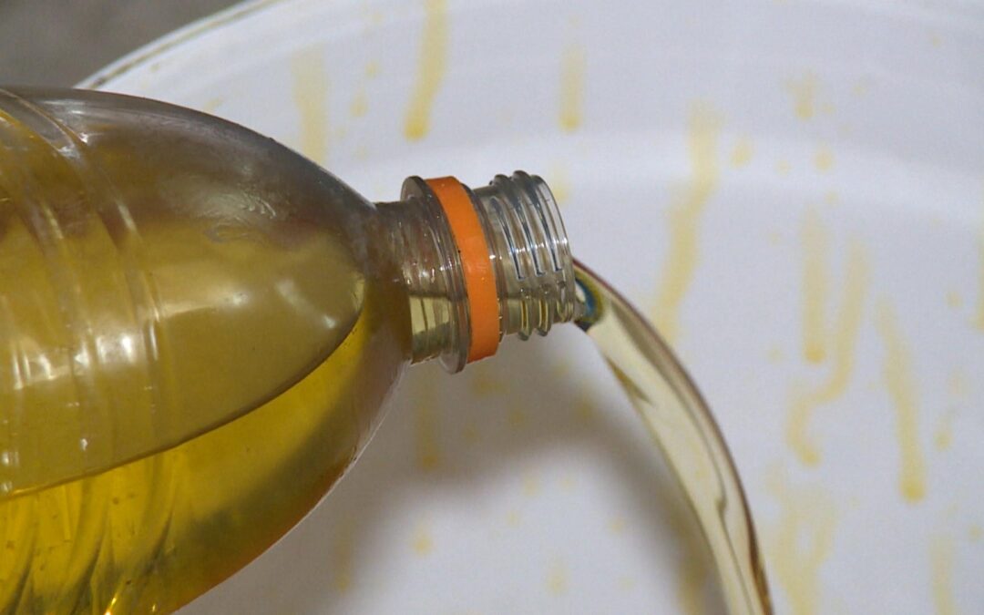 Descarte de óleo de cozinha na pia pode causar problemas na rede de esgoto