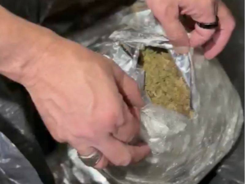 Imagem da apreens&atilde;o de drogas
