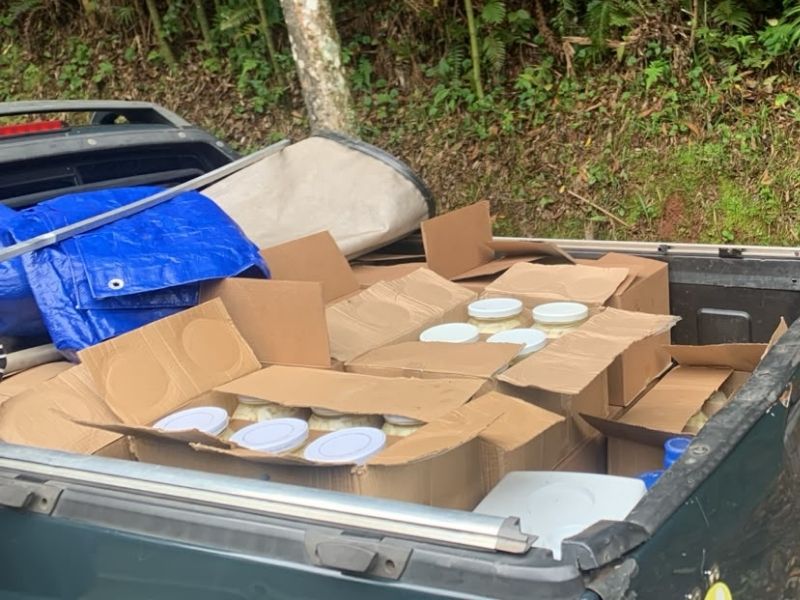 Fiscalização apreende 162 kg de palmito em São Miguel Arcanjo