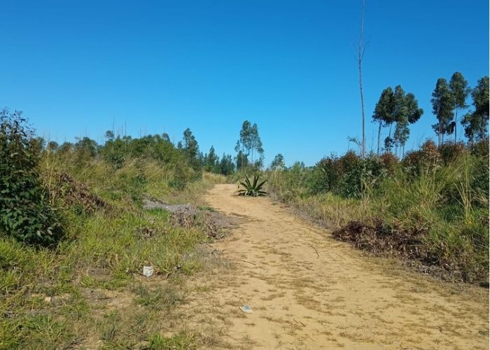Polícia Civil prende três suspeitos de homicídio em Votorantim