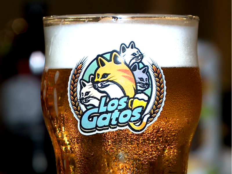Cervejaria Los Gatos transforma produção de cerveja em experiência no interior de SP