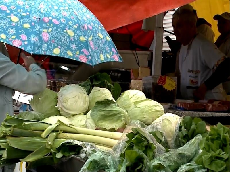 Excesso de chuva aumenta perdas e compromete produção de hortaliças na região de Sorocaba