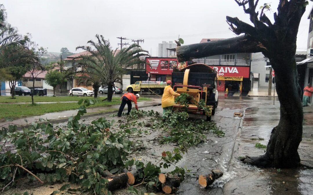 Chuva forte causa queda de árvores e pontos de alagamentos em Sorocaba