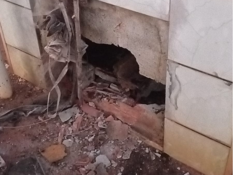 Imagem da sepultura violada